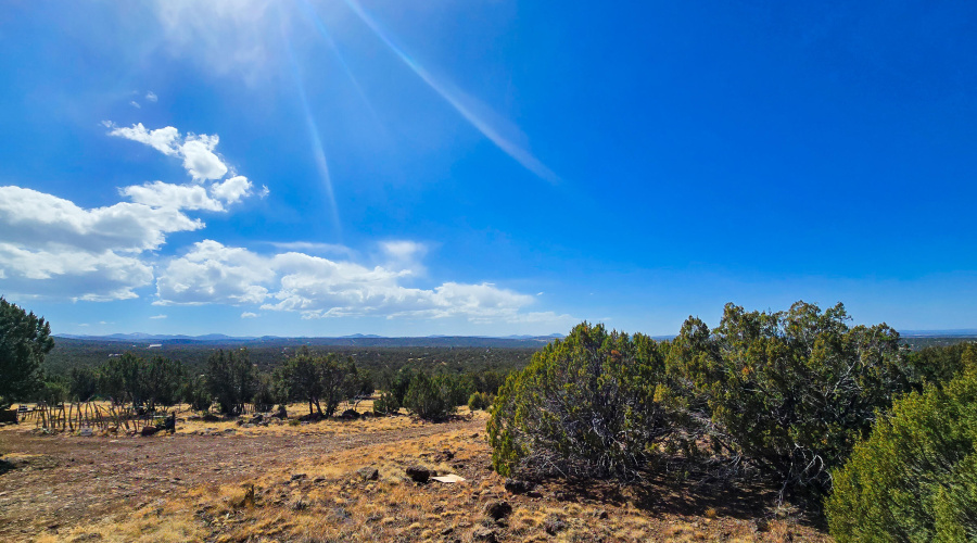 View from Corner of Lot