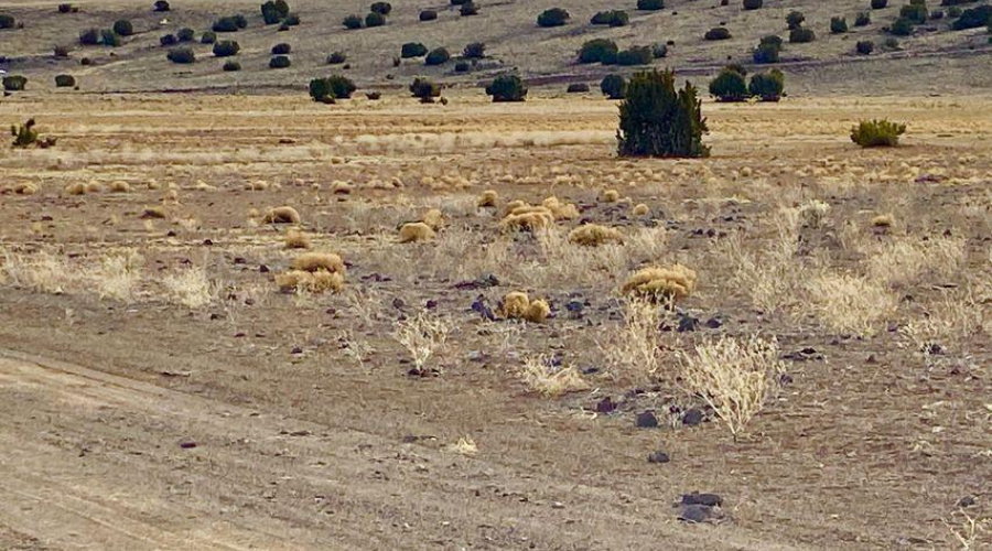 20240206231350951223000000-o