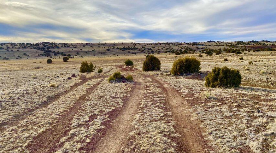 20240206231209454719000000-o