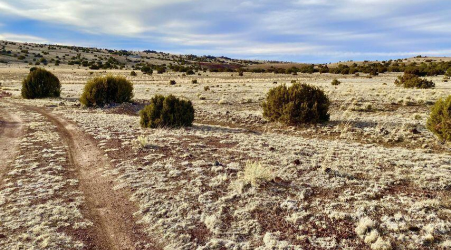 20240206231026168146000000-o