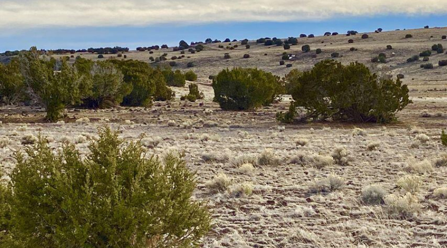 20240206230933453391000000-o