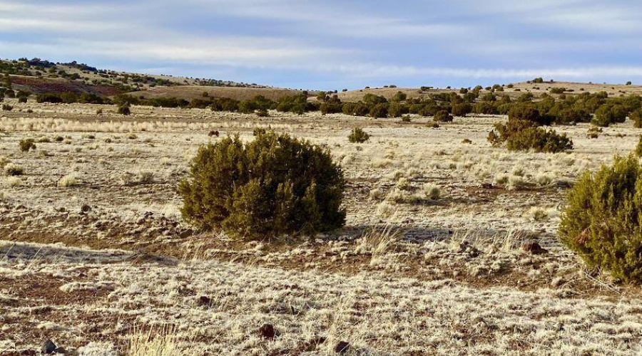 20240206230919824470000000-o