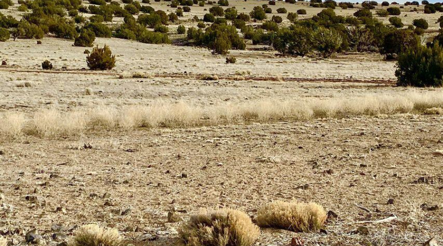 20240206231149426522000000-o