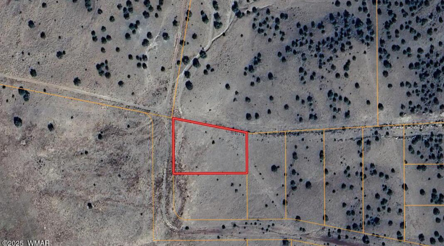 Screenshot 2025-03-01 113018