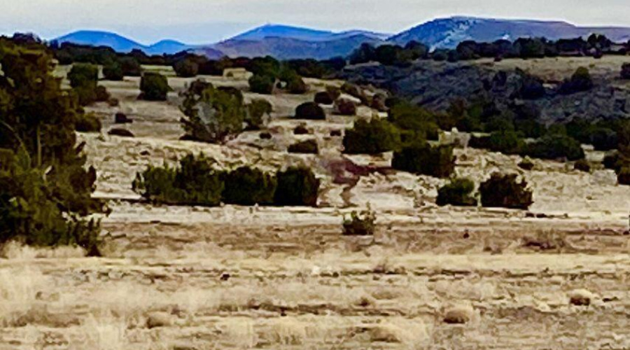 20240206231547959719000000-o