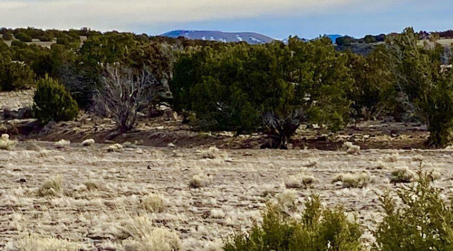 20240206230940772495000000-o