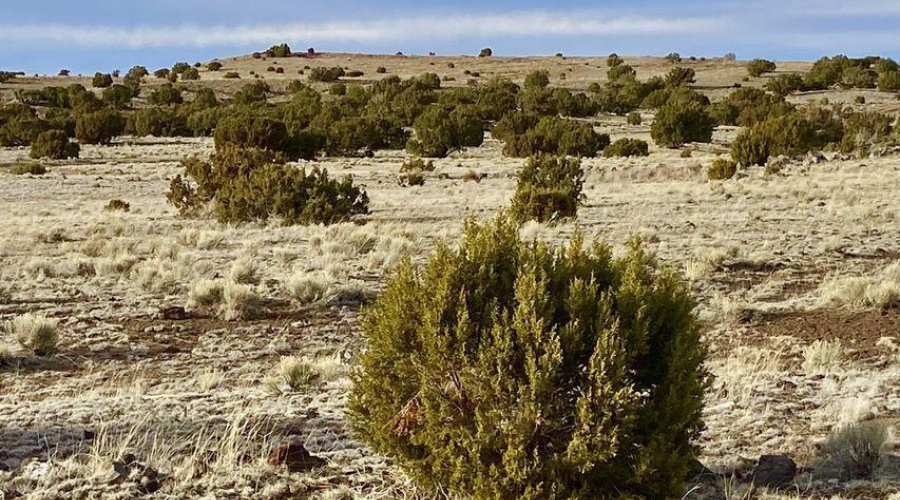 20240206231018655822000000-o