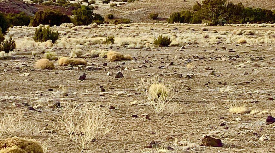 20240206231704632916000000-o