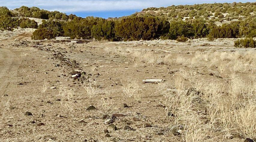 20240206231642407983000000-o