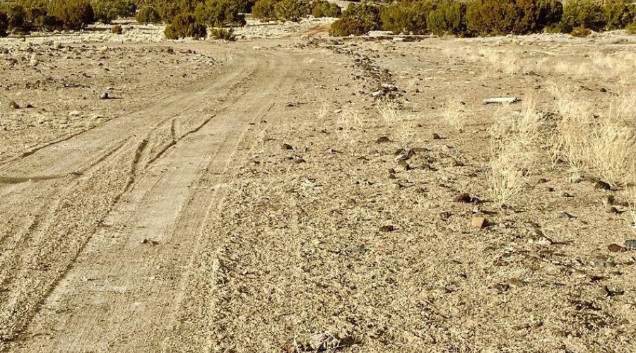 20240206231611761544000000-o