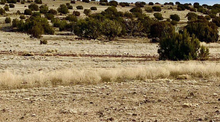 20240206231516759982000000-o