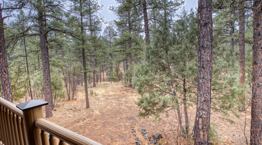 022_View from Back Deck