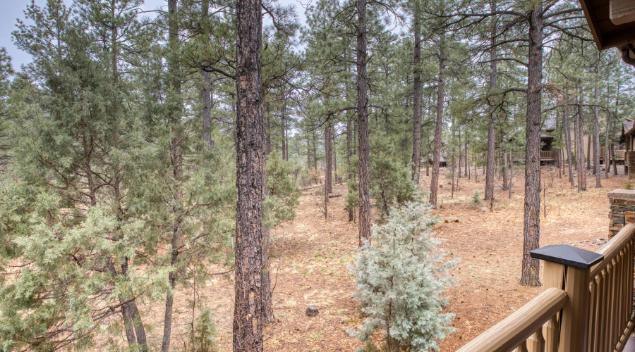 023_View from Back Deck