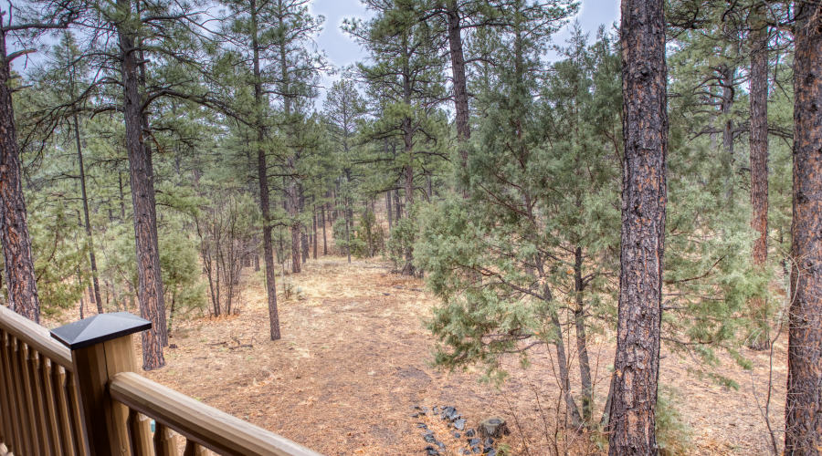 3240 Black Oak Loop, Show Low, Arizona 85901, Bedrooms, ,Bathrooms,Residential,For Sale,Black Oak,254733