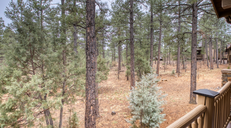 3240 Black Oak Loop, Show Low, Arizona 85901, Bedrooms, ,Bathrooms,Residential,For Sale,Black Oak,254733