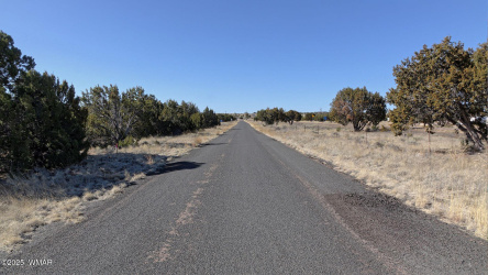 0 Clubhouse Lane Lot 1, Concho, Arizona 85924, ,Land,For Sale,Clubhouse Lane Lot 1,254750