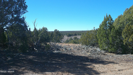 8285 Ridge Drive, Show Low, Arizona 85901, ,Land,For Sale,Ridge,254768