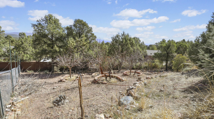 Cherry, apple and peach Trees