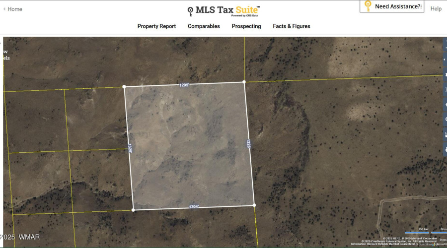 Screenshot 2025-03-03 103213