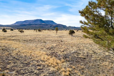 21 County Rd 2002, Nutrioso, Arizona 85932, ,Land,For Sale,County Rd 2002,254787