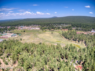 00.00 HWY 260 & PENROD LANE, Pinetop, Arizona 85935, ,Land,For Sale,HWY 260 & PENROD LANE,254781