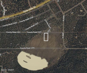 44 County Road N3321, Vernon, Arizona 85940, ,Land,For Sale,County Road N3321,254807