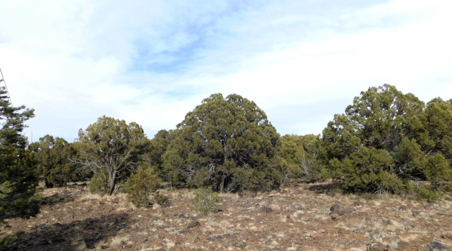 10 COUNTY ROAD 3071 VERNON, AZ 85940 ( A