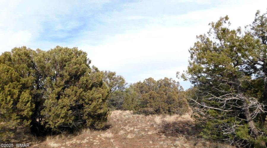 10 COUNTY ROAD 3071 VERNON, AZ 85940 ( A