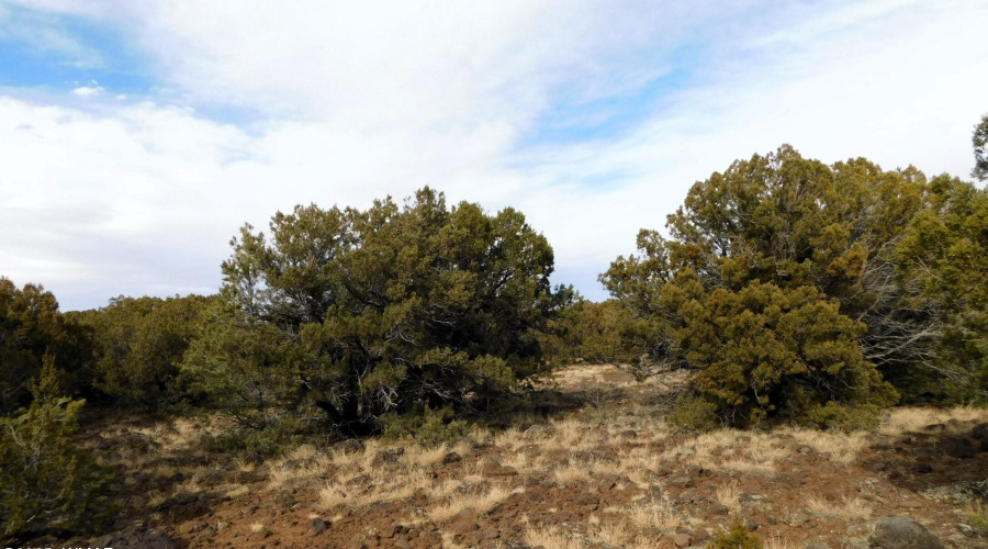 10 COUNTY ROAD 3071 VERNON, AZ 85940 ( A