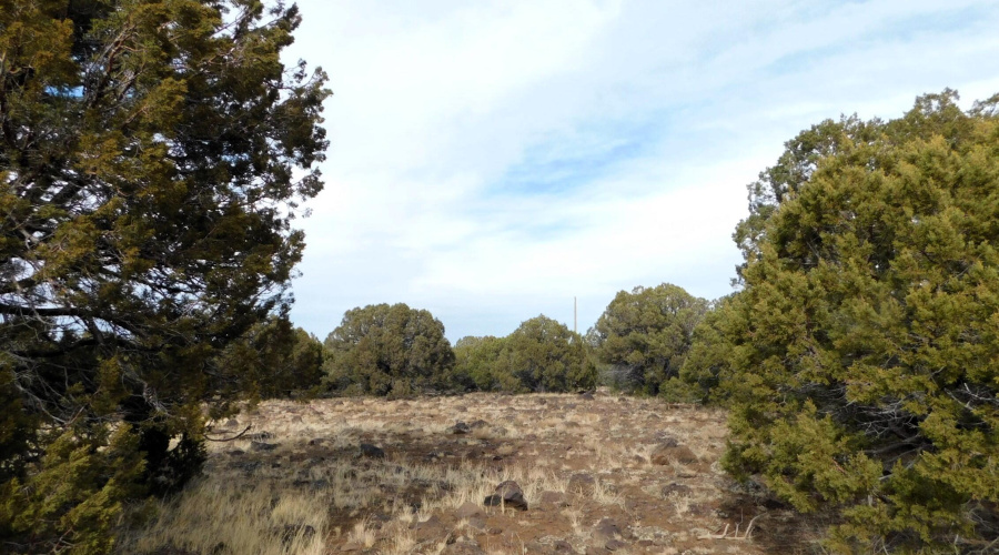 10 COUNTY ROAD 3071 VERNON, AZ 85940 ( A