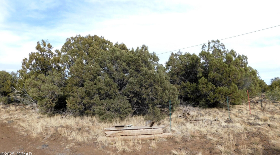 10 COUNTY ROAD 3071 VERNON, AZ 85940 ( A