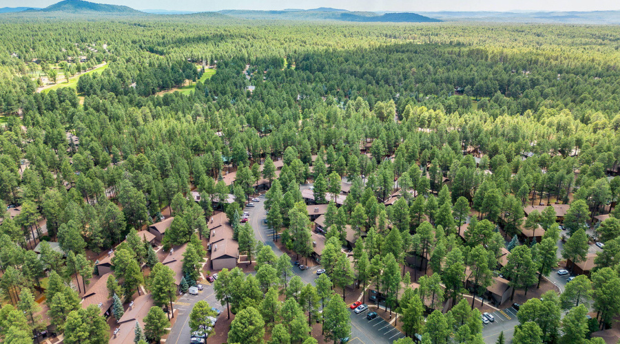 2860SportsVillageLoop-Pinetop-AZ-21