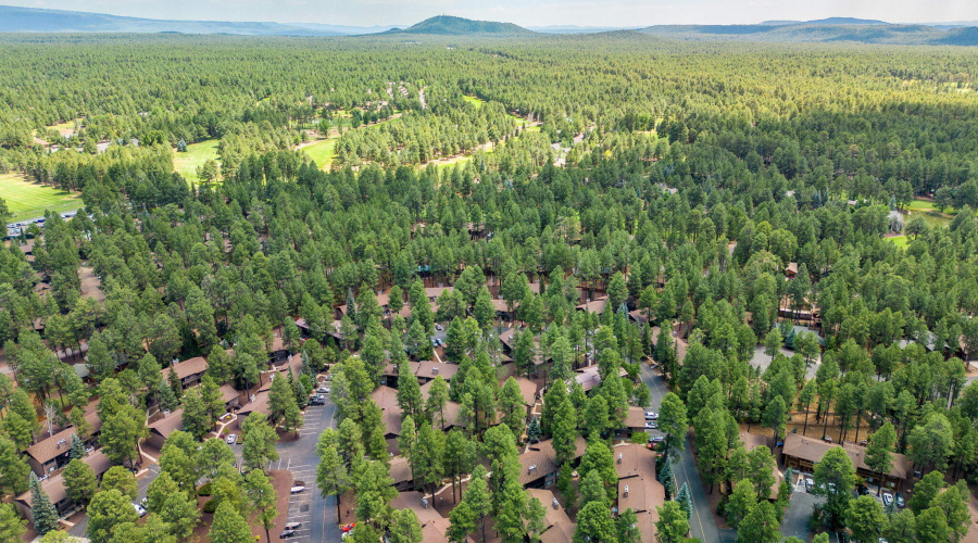 2860SportsVillageLoop-Pinetop-AZ-22