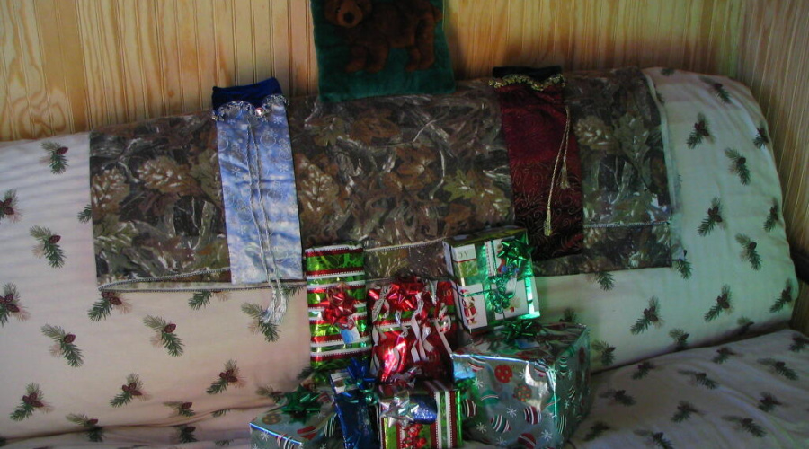 futon bed inside cabin