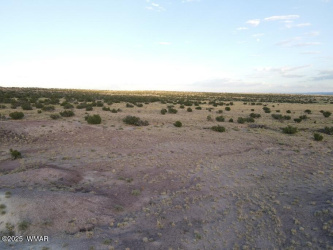 Lot 12 Carrizo Ranch, St. Johns, Arizona 85936, ,Land,For Sale,Carrizo Ranch,254487