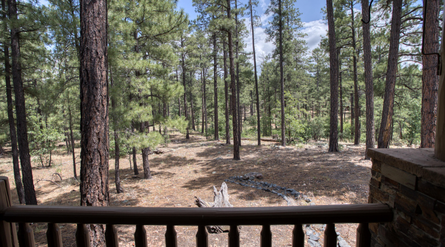 020_View from Back Deck