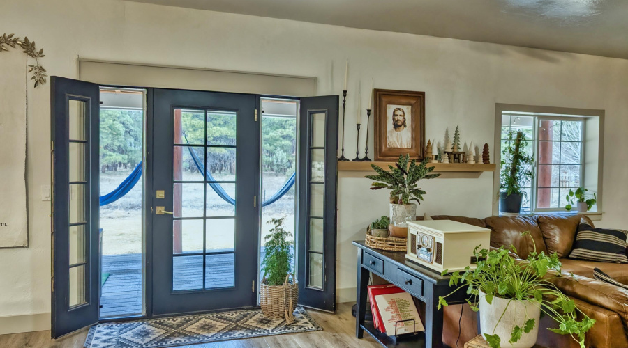 Back door w/ Sidelights