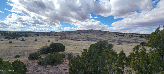 TBD CR N5337, Concho, Arizona 85924, ,Land,For Sale,CR N5337,245009