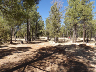 3900 Morning View Drive, Happy Jack, Arizona 86024, ,Land,For Sale,Morning View,91802