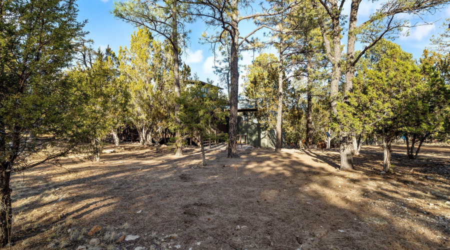 2235EagleLn-Overgaard-AZ-37