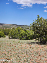 004B Raven, Show Low, Arizona 85901, ,Land,For Sale,Raven,254924