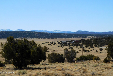 TBD County Road 8500, Concho Valley, Arizona 85924, ,Land,For Sale,County Road 8500,254925