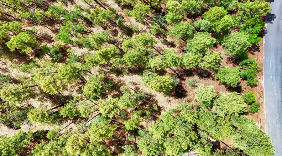 DJI_20250723134130_0044_D