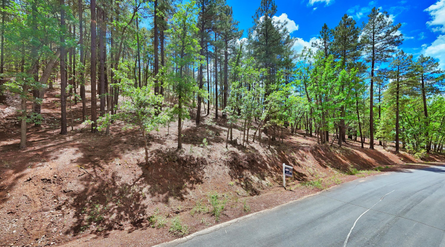 DJI_20250723133708_0037_D