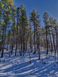 6319 Bent Oak Drive, Pinetop, Arizona 85935, ,Land,For Sale,Bent Oak,254929