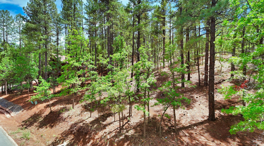 DJI_20250723133745_0038_D