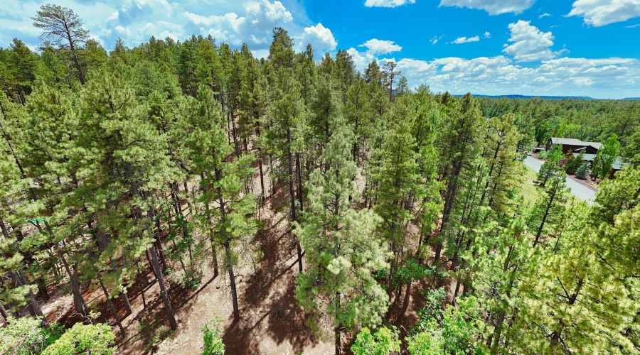 DJI_20250723133819_0039_D