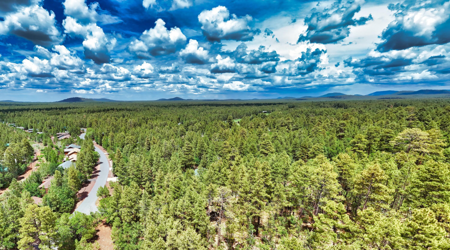 DJI_20250723133925_0041_D