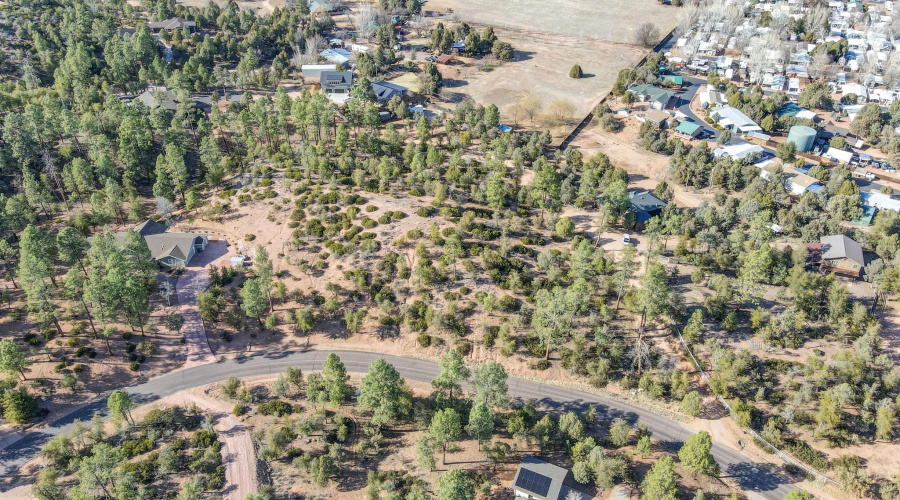 dji_fly_20250311_155040_828_174182149896