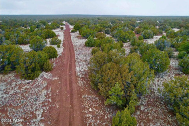 81 Co Rd 8072, Concho, Arizona 85924, ,Land,For Sale,Co Rd 8072,254937